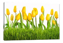 5D картина «Желтые тюльпаны»