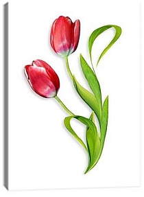 5D картина «Объемные тюльпаны» 1