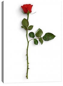 5D картина «Красные розы» 1