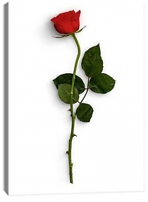 5D картина «Красные розы» 2
