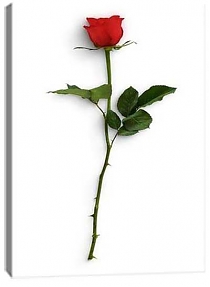 5D картина «Красные розы» 3