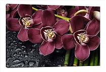 5D картина «Орхидеи»