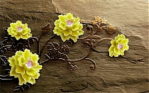 BR-063 Желтые цветочки на камне