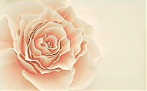FANT-015 Изысканная роза