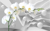 GM-026 Белая орхидея на объемном фоне