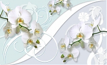 GM-080 Нежная композиция с орхидеями