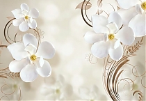 Нежные белые цветы с узором