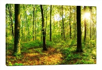 5D картина «Летний лес»
